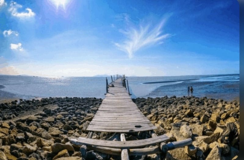 Cần Giờ, nơi rừng ngập mặn và những chú khỉ tinh nghịch sẽ làm thay đổi cuối tuần của bạn.