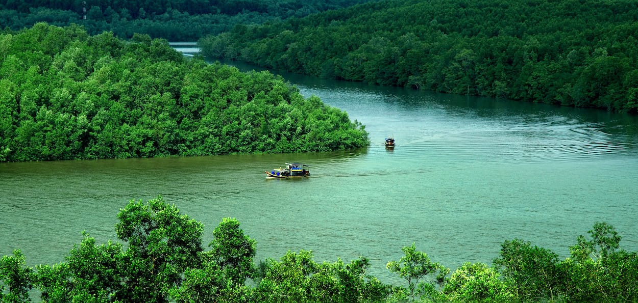 Du lịch Cần Giờ, tour du lịch đường thủy và hành động vào khu vực sinh học được UNESCO công nhận