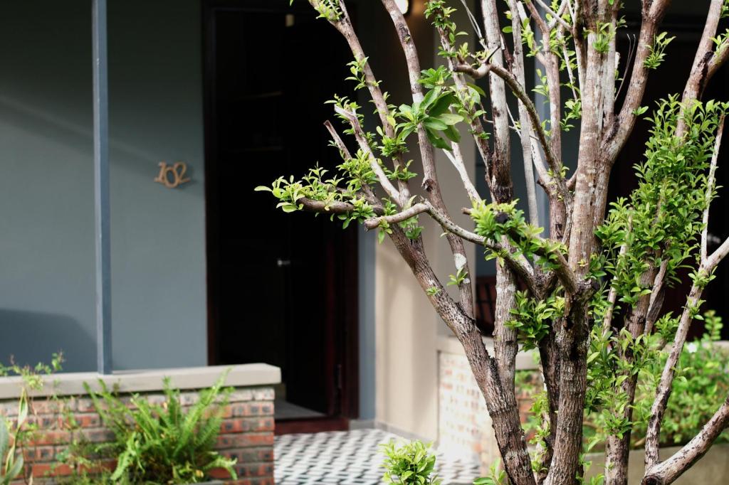 Kaia Residence Danang Quiet Garden, nơi lưu trú yên ả cho kỳ nghỉ đáng nhớ tại Đà Nẵng