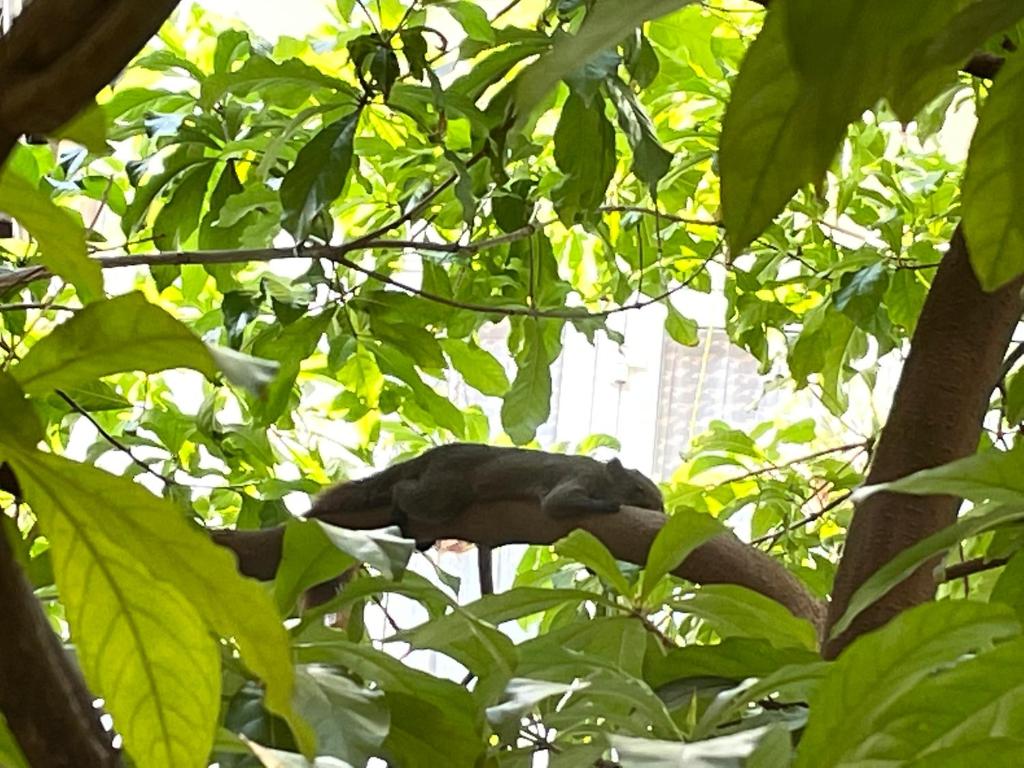 May Residence Hà Nội, Homestay Lãng Mạn Cho Cặp Đôi Yêu Sự Bình Yên