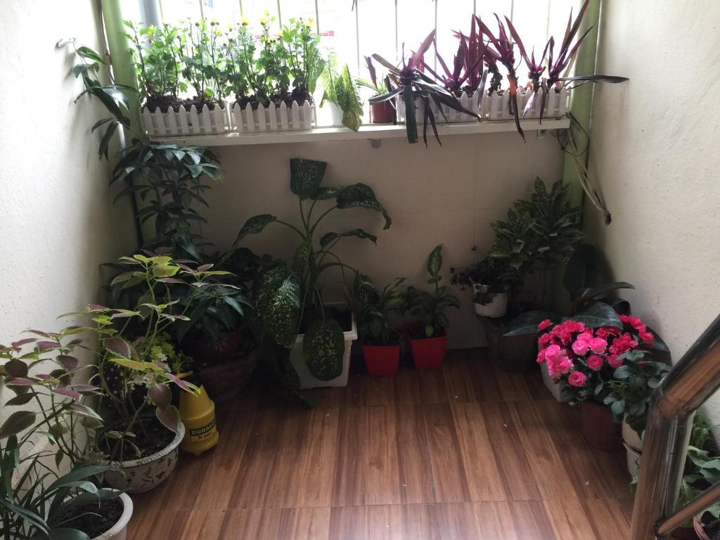 AURORA House Hà Nội, Homestay Sang Trọng Với Không Gian BBQ Ngoài Trời Đẳng Cấp