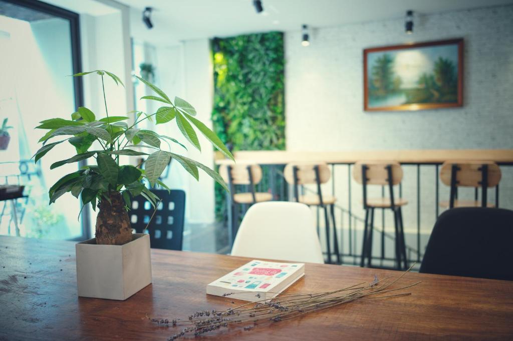 Tofu’s House Hà Nội, Khách Sạn Sang Trọng, Tận Hưởng Kỳ Nghỉ Thư Giãn Giữa Phố Phường Tấp Nập