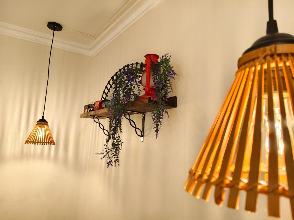 Among Birds Hanoi, Homestay Nghệ Thuật, Lựa Chọn Lý Tưởng Cho Du Khách Yêu Văn Hóa Và Không Gian Xanh