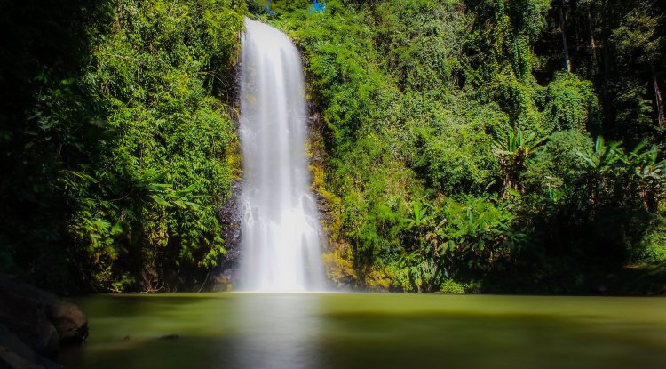 Tour Buôn Ma Thuột huyền hoặc, cà phê bazan quyến rũ giữa rừng thông Măng Đen trong 4 ngày 3 đêm