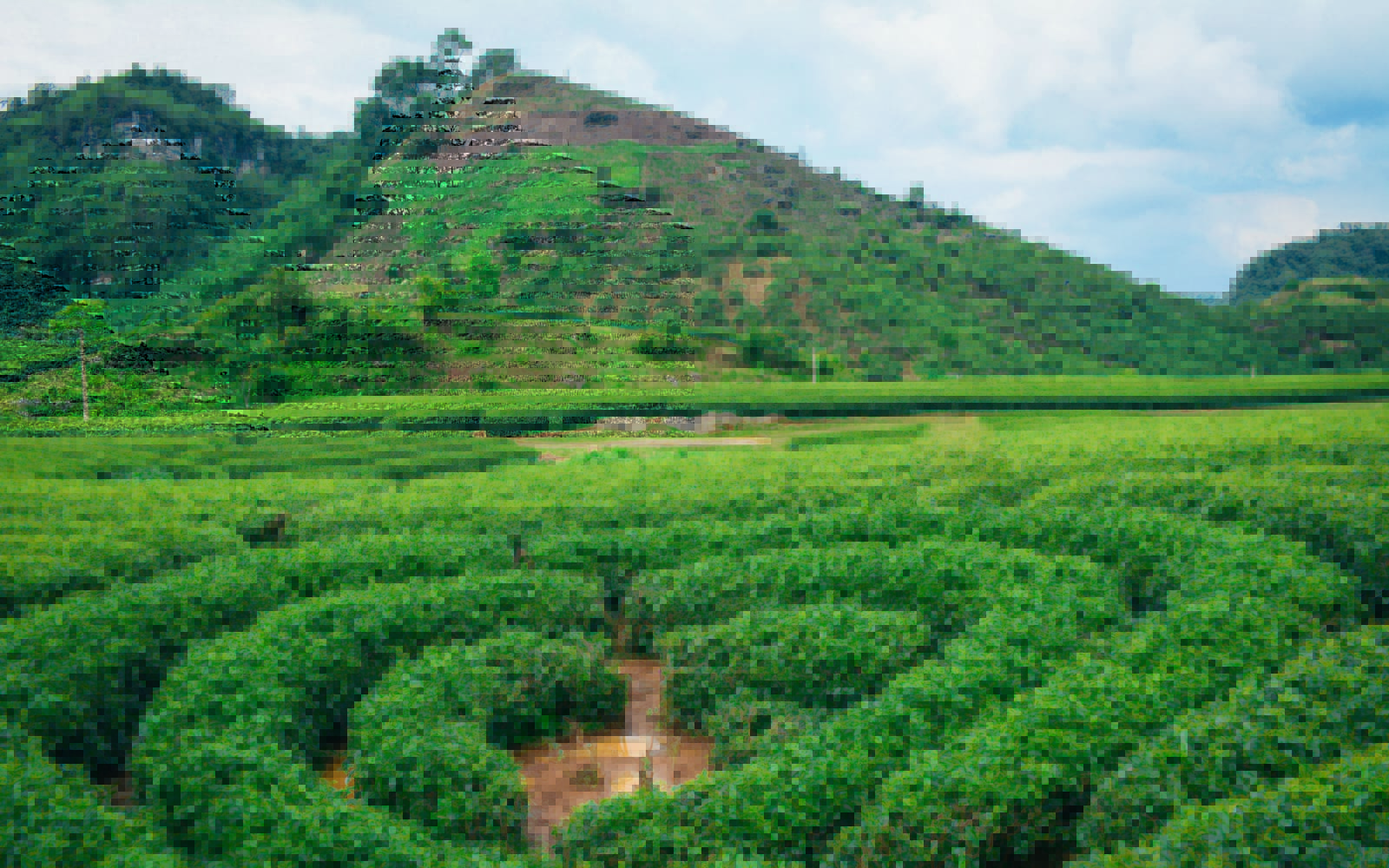 Tour Tây Nguyên 4 ngày, Dray Nur hùng vĩ nước đổ trắng xóa đại ngàn